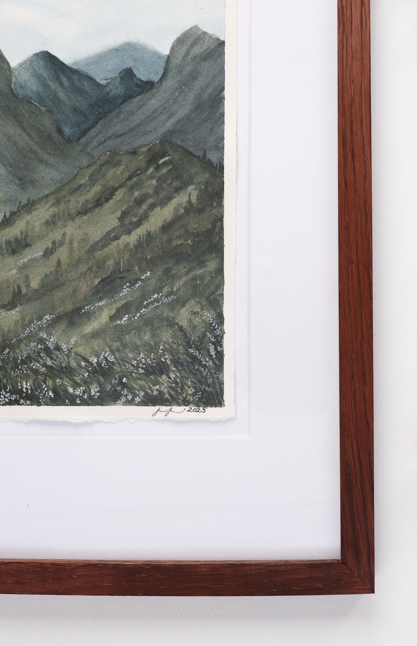 Heart of the Mountain: "Quiet Radiance"