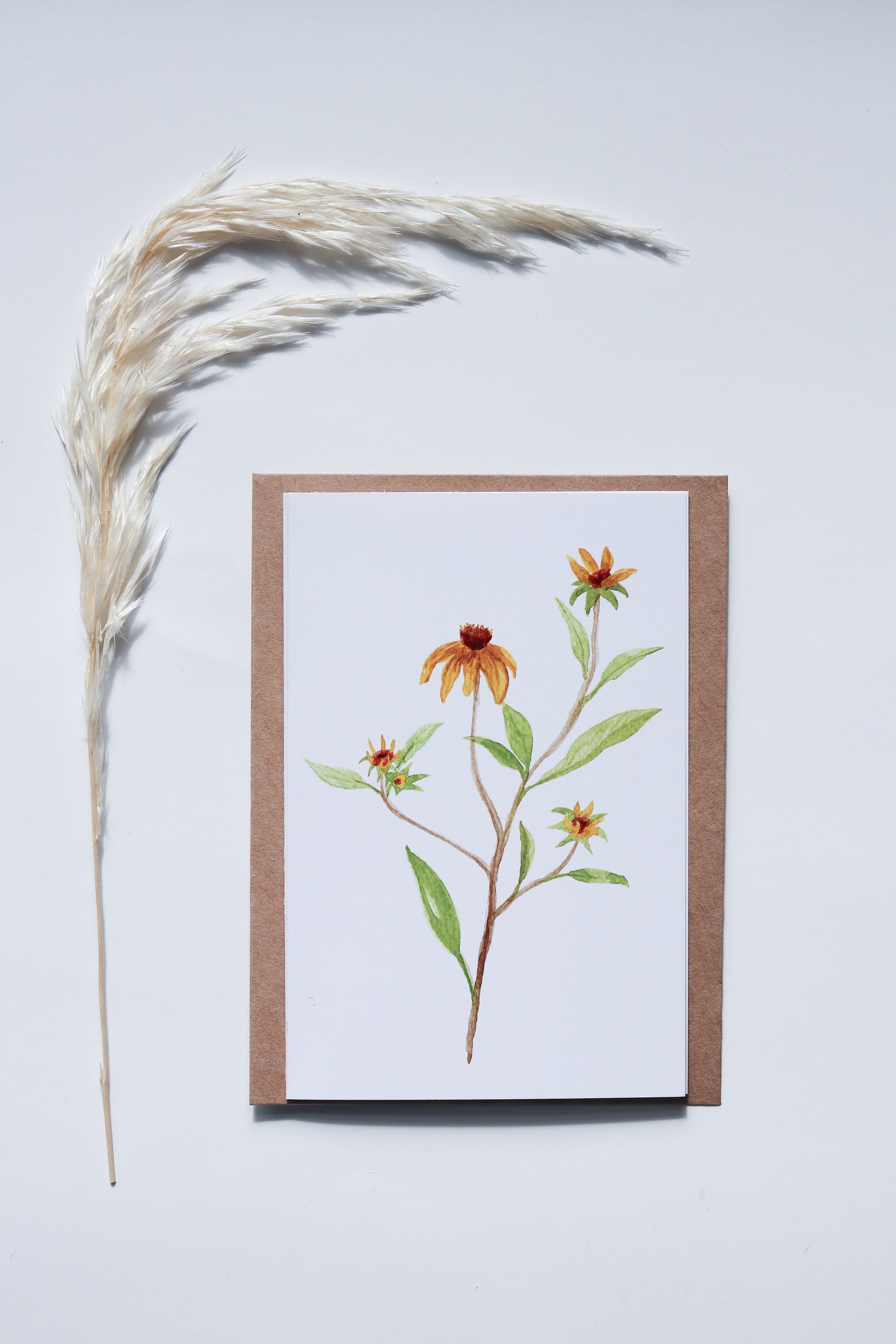 Black Eyed Susan Card