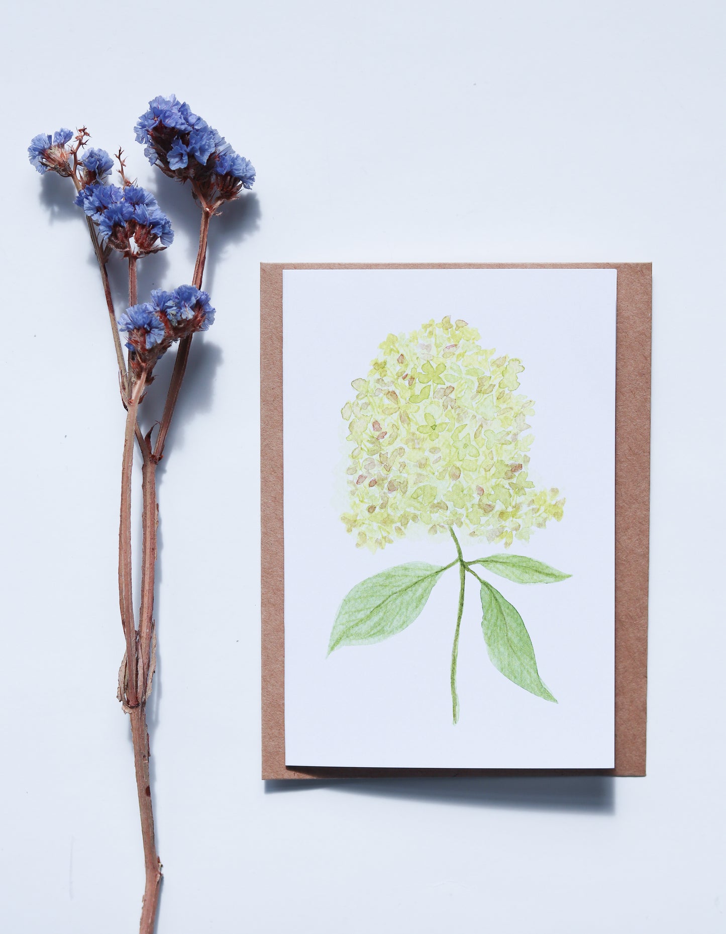 Hydrangea Card