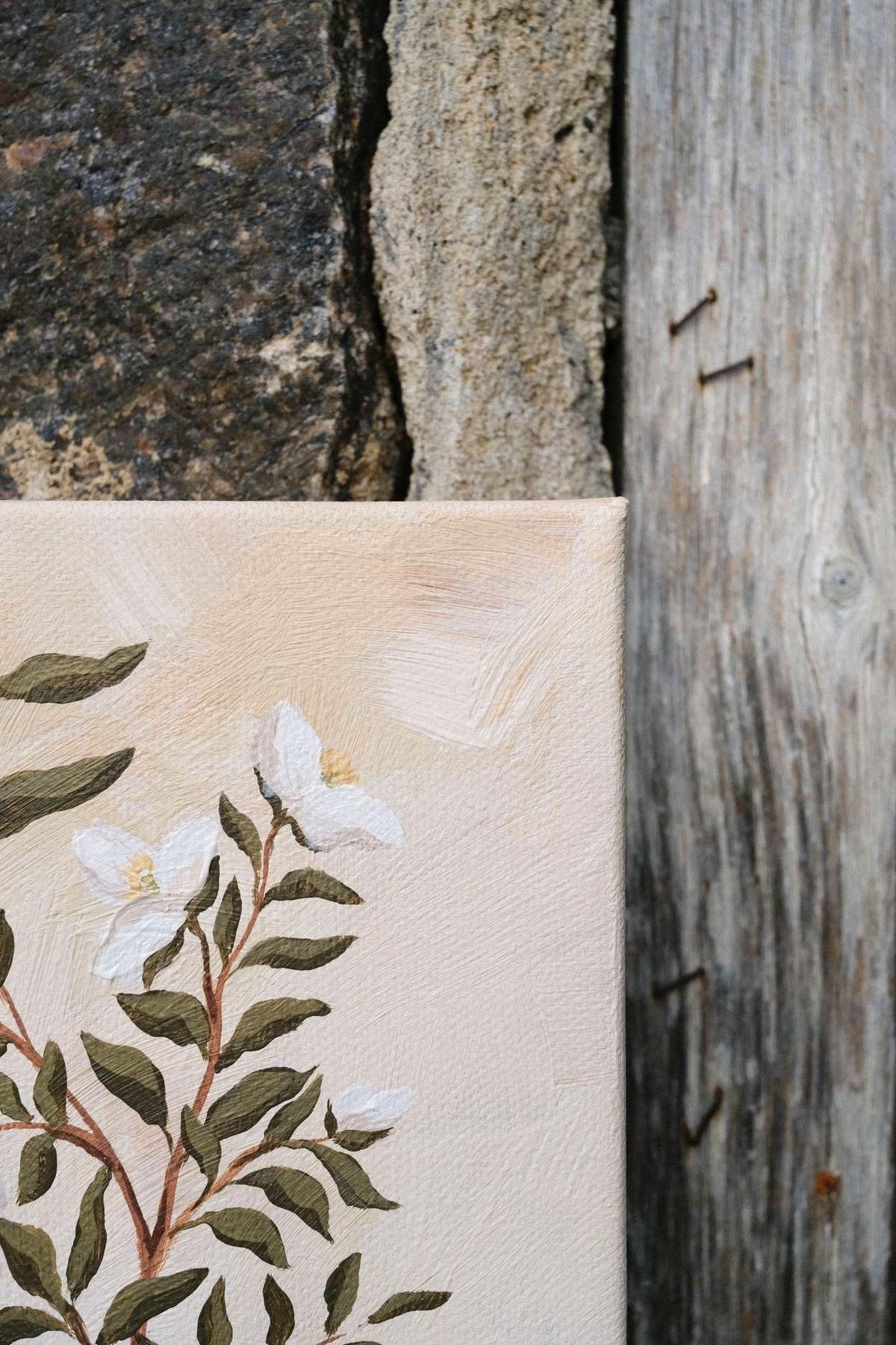 Timeless: Mock Orange 6x6 in