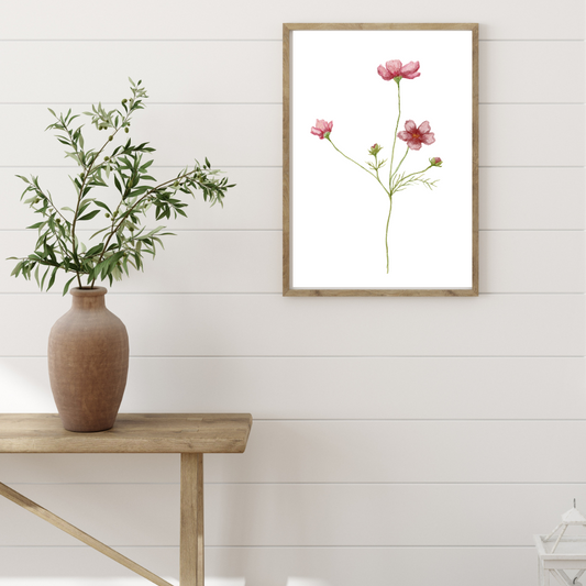 Cosmos