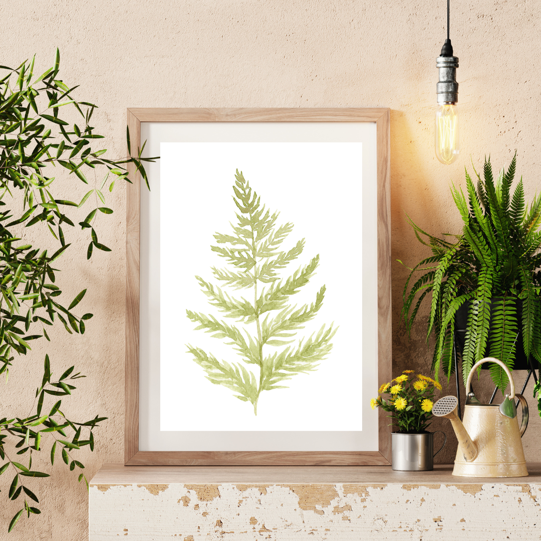 Fern