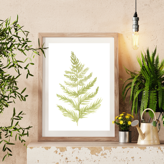 Fern