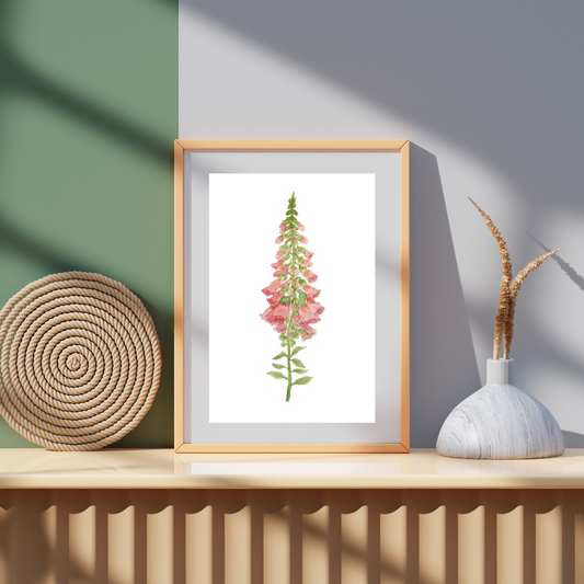 Foxglove
