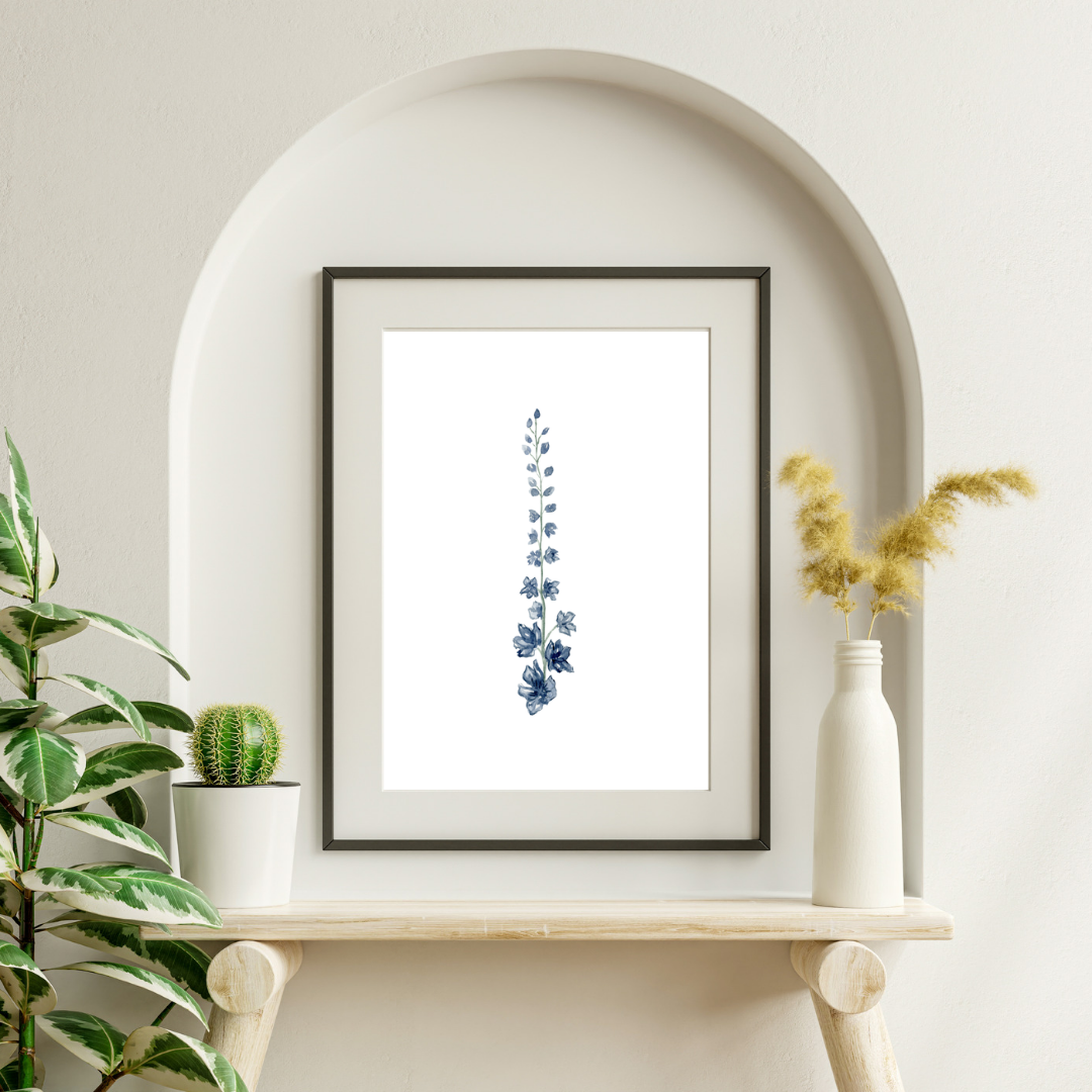 Delphinium
