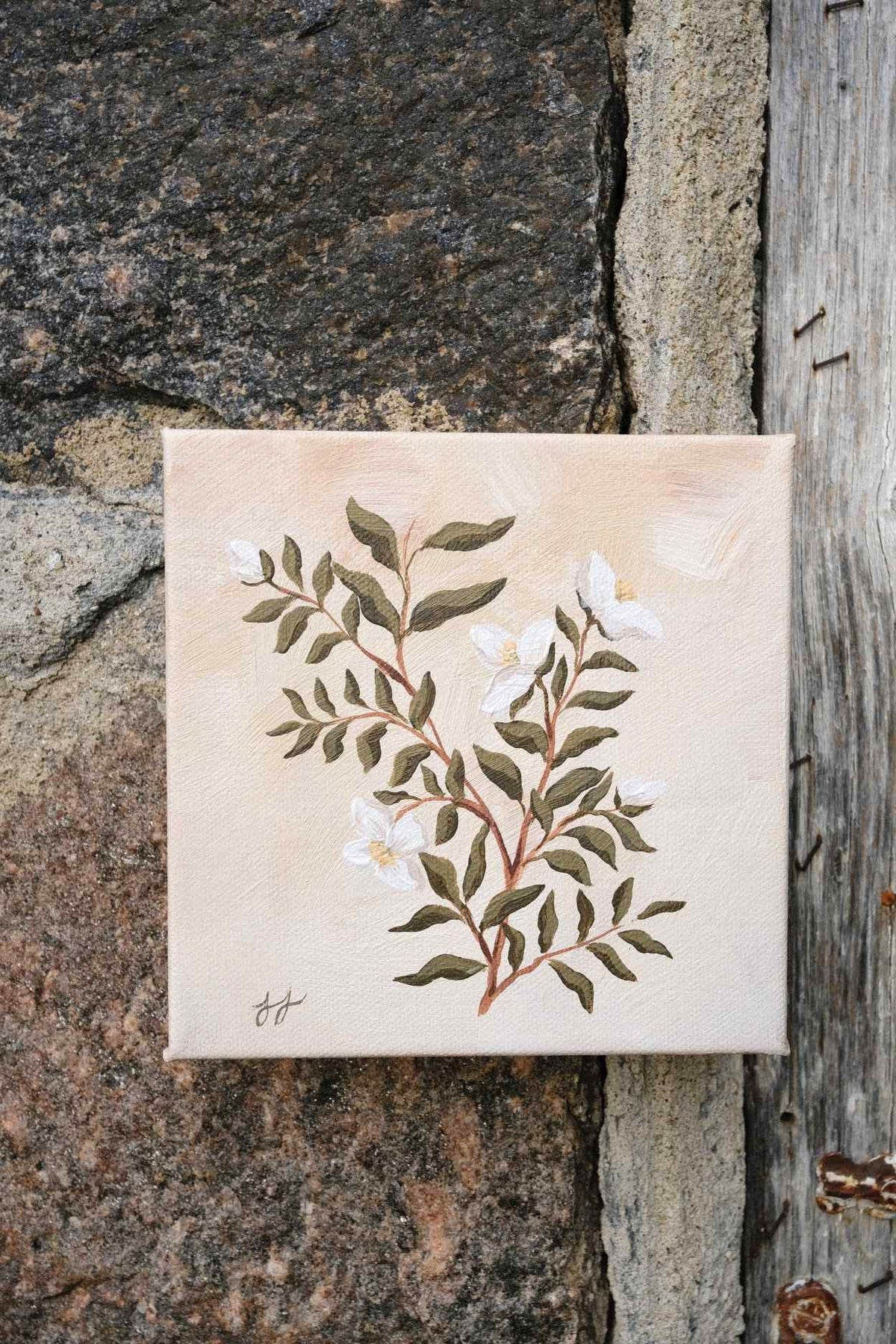 Timeless: Mock Orange 6x6 in