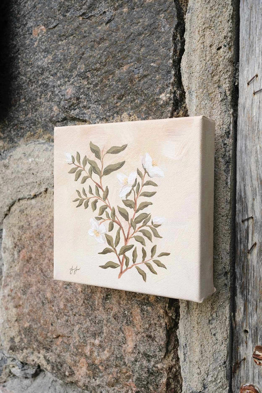 Timeless: Mock Orange 6x6 in