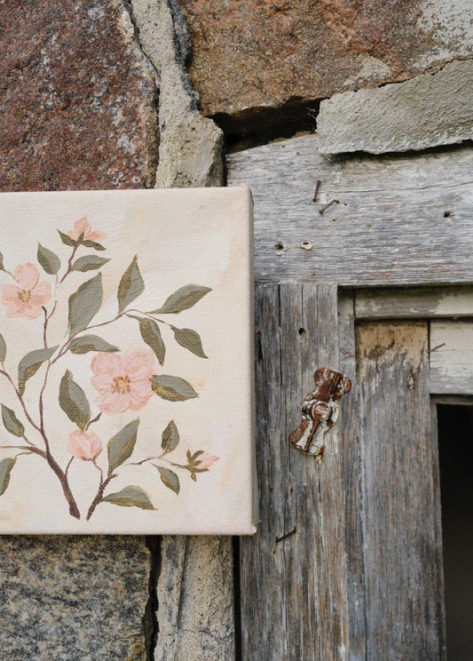Timeless: Wild Rose 6x6 in