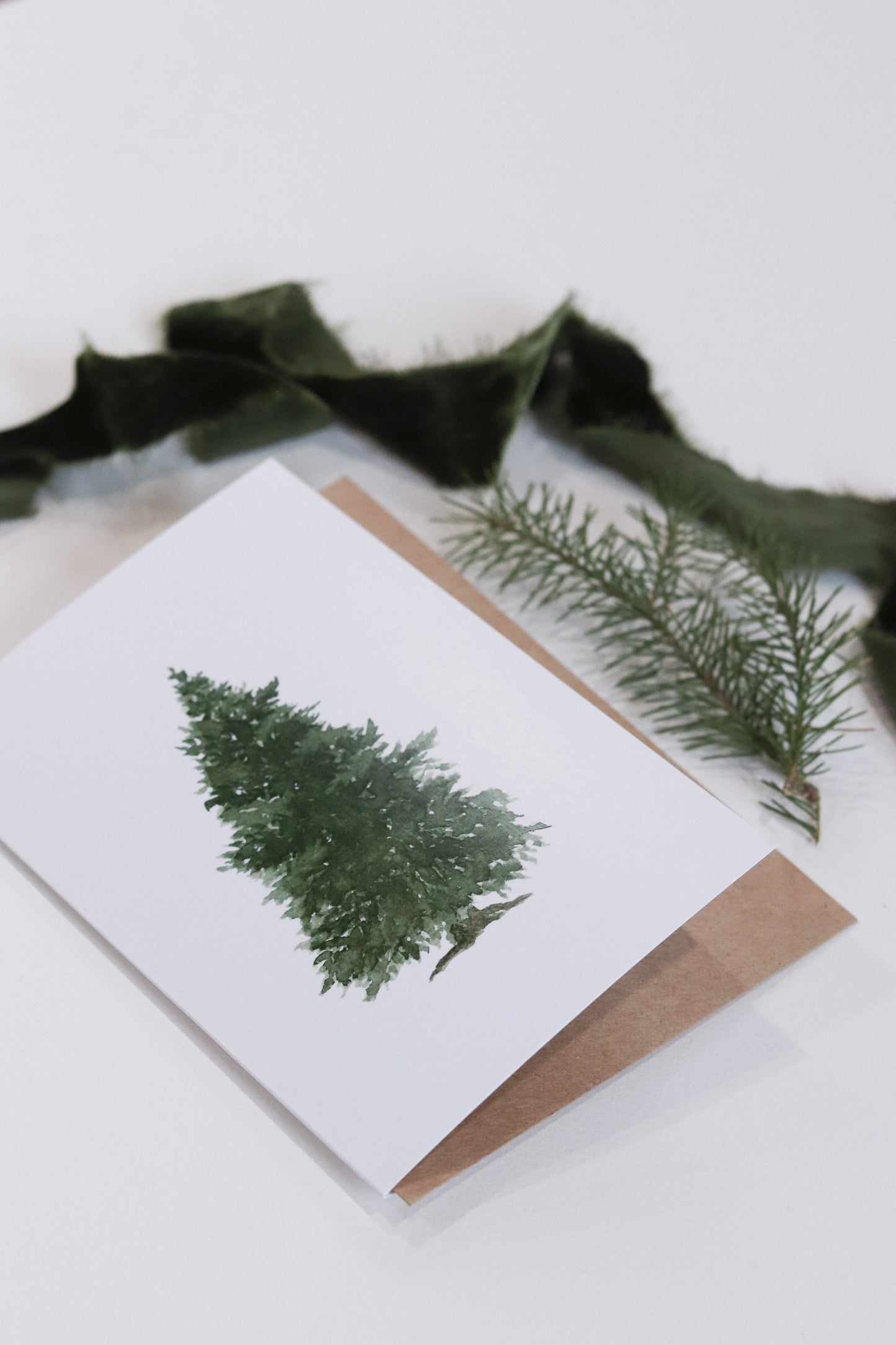 Evergreen Greeting Card