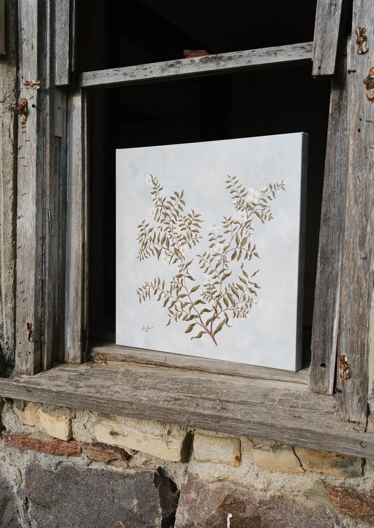 Timeless: Wild and Free 20x20 in
