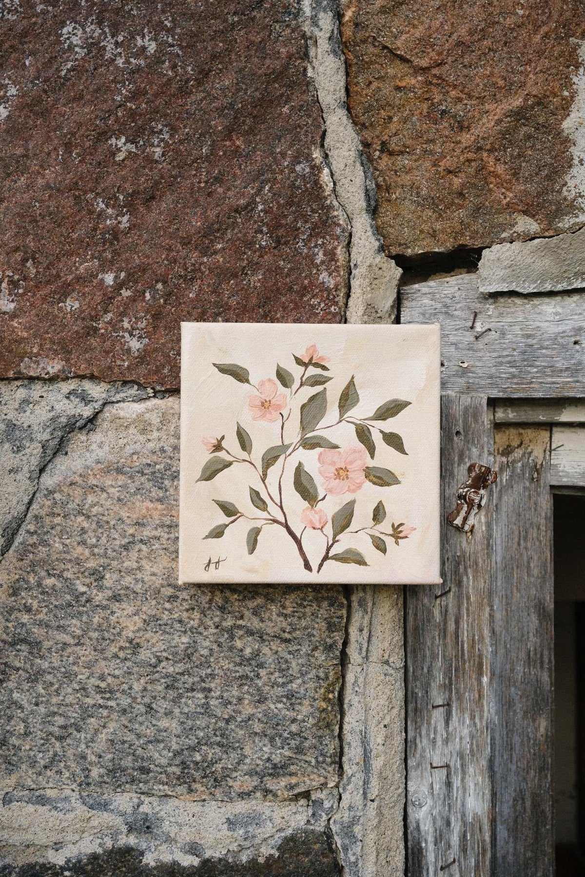 Timeless: Wild Rose 6x6 in